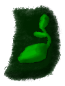 Set Seed